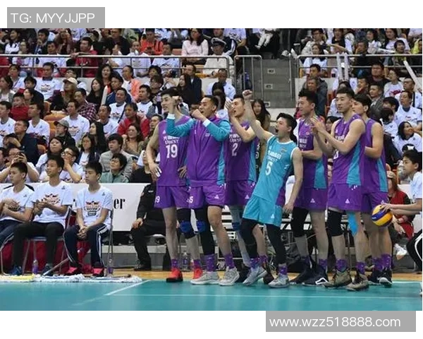 深圳排球队状态卓越领跑最新排球TOP10榜单分析与展望